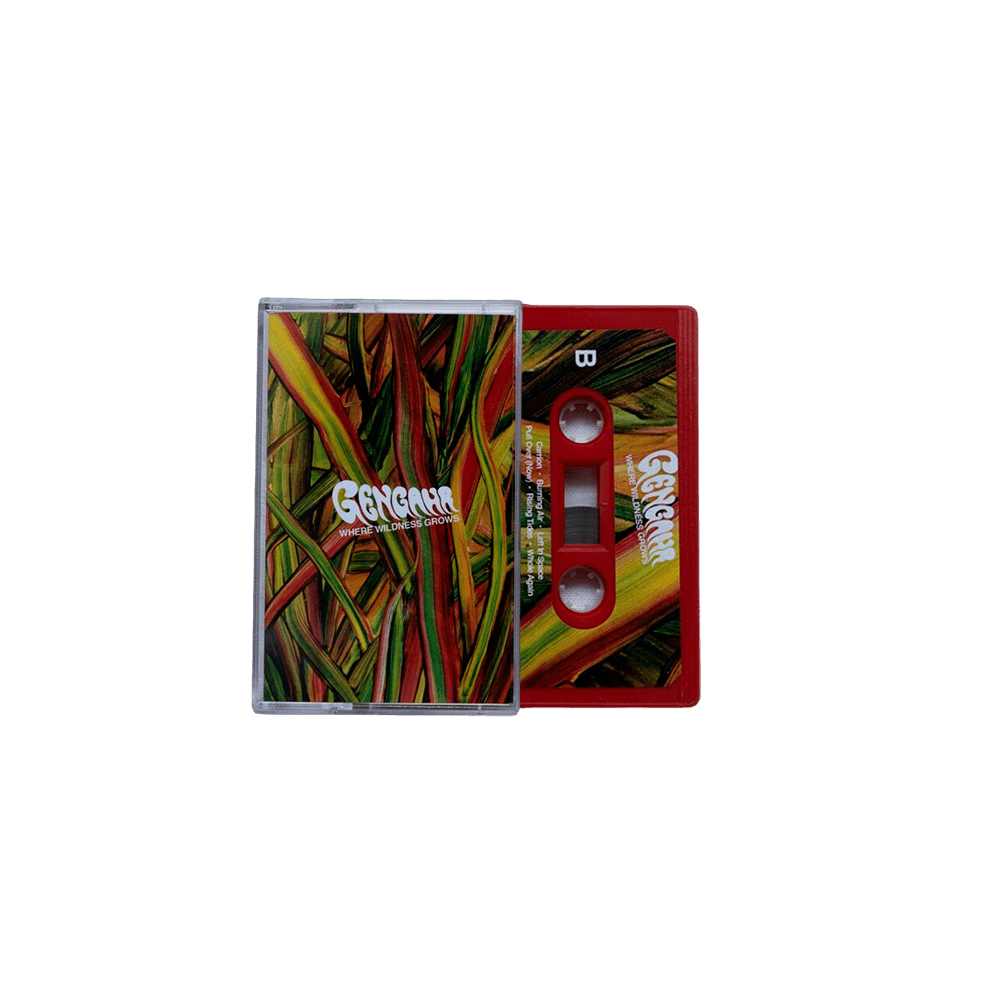 Gengahr Where Wildness Grows red cassette tape with illustrated sleeve